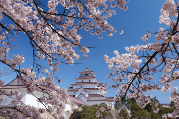 桜咲く鶴ヶ城 © CHOCOMAMA
