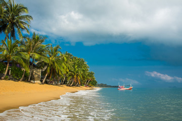 Beautiful landscapes view of MaeNam beach with coconut palms under sky. Happy vacation, relaxation, idyllic landscape