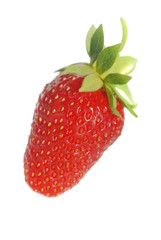 Red berry strawberry isolated on white background