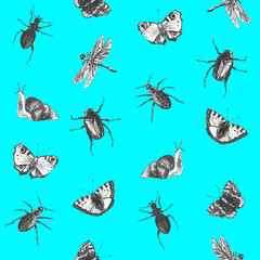 Bright seamless summer pattern with butterflies, beetles and dragonflies. Hand drawn insects. Graphic background for textile, packaging and design.