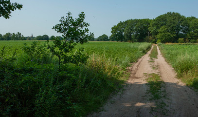 Fototapeta na wymiar Countryroad near Rolde drente Netherlands