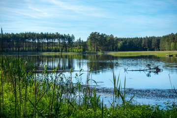 Jezioro na kaszubach lato bory pomorze