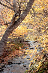 beautiful nature image in autumn