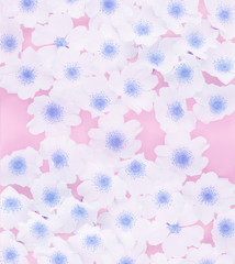 Background of delicate  flowers . Floral background.