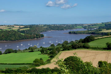 UK, England, Devon, Dittisham River Dart valley