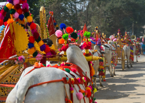 Decorated Ox Cart During A Novice Parade, Bagan,  Myanmar