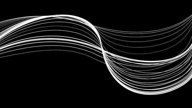 Smooth flow of white blending lines on black background. Kinetic motion wallpaper with uncolored wavy stroke brush. Seamless looping animation.