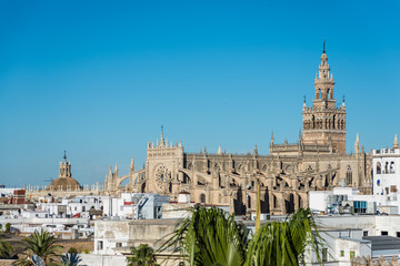 Fototapeta premium Giralda in the city of Seville in Andalusia, Spain.