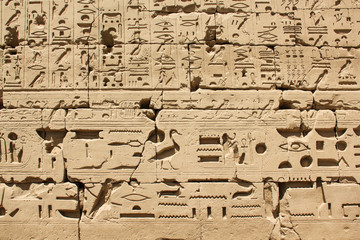 Ancient Egyptian hieroglyphs and symbols carved in stone, wall decoration of the complex of the Karnak temple
