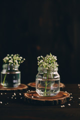 gypsophila bottle wooden background. wedding decoration. celebration.rustic