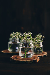 gypsophila bottle wooden background. wedding decoration. celebration.rustic
