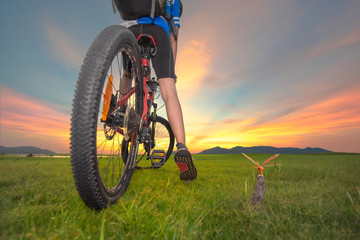 Woman cyclist bicycle paused riding on the meadow field, looking for forward ahead possibility...