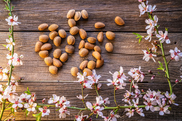 Almond spring blossom harvest on wood