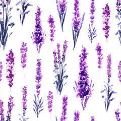 Lavender Field Seamless Pattern. Watercolor or Aquarelle Paintings of Provence Lavandula. Hand Drawn Tea Herbs Flower. Summer Blossom or Foliage of Garden Plant in Aquarelle. Nature and Perfume.