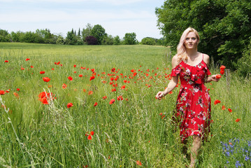 Beautiful young woman in a poppy field