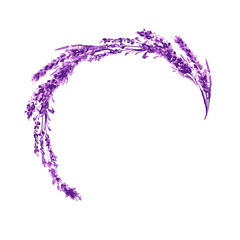 Lavender flower round twig watercolor illustration. Circle lavender frame. Decoration floral design. Love and marriage. Valentines day. Lavender twig wedding symbol. Isolated raster