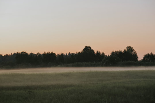 irds over the field.