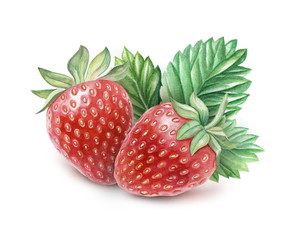 Watercolor Strawberry