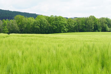 Ostdeutschland 