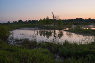 Fog over the lake surface