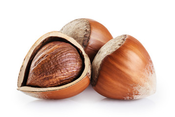 Hazelnut isolated on white background.