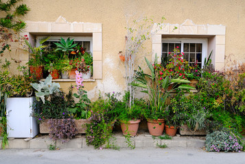 Fototapeta na wymiar Spring in Cyprus; fragment of local house decoreted with plants and flowers
