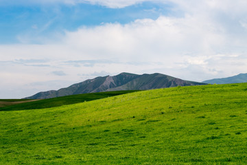 Beautiful spring and summer landscape. Lush green hills, high mountains. Bright green grass. Spring flowering grass. Summer natural background.