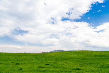 Obraz premium Beautiful spring and summer landscape. Lush green hills, high mountains.