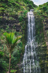 Karekare high waterfall near Auckland, New Zealand