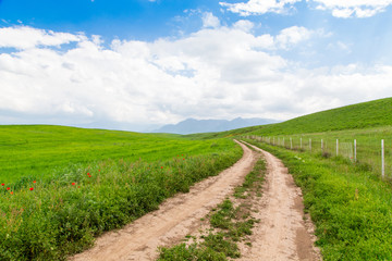 Beautiful spring and summer landscape. Mountain country road among green hills.
