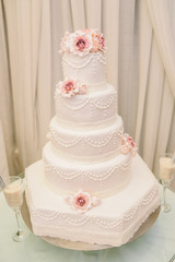 Sweet cake for special day