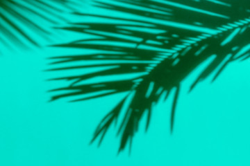 Obraz premium Shadow silhouette of beautiful feathery palm leaf in sunlight on soft green turquoise color wall background. Summer tropical vacation creative concept. Urban jungle relaxation tranquility