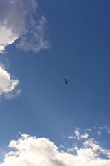Beautiful blue sky and clouds. Creative vintage background. Very small plane on a background of clouds.