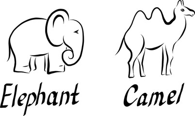 Set of vector icons of elephant and camel