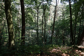 Obraz premium Ostdeutschland 