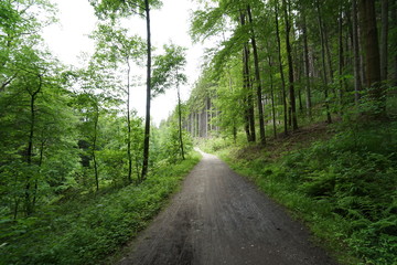 Fototapeta premium Ostdeutschland 