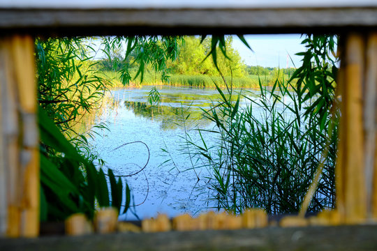 Bird watching frame in Vacaresti Nature Park (Parcul Natural Vacaresti), Bucharest, Romania, in the evening, with views towards the natural lake ecosystem.