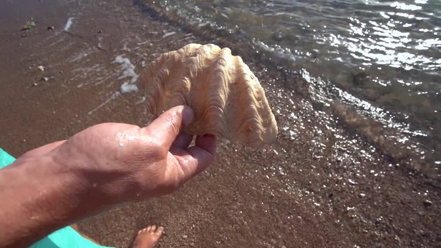 Closeup top view of adult male hand holding big seashell isolated on sand and splashing sea water background. Happy summer holidays and vacations concept.