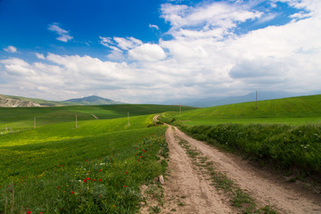 Beautiful spring and summer landscape. Mountain country road among green hills.