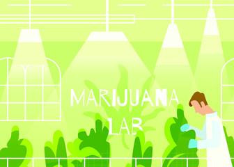 Scientist exploring cannabis in the laboratory vector illustration. Medical marijuana, medical cannabis - Vector
