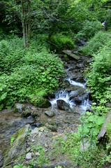 Obraz premium wasserfall