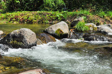 Naklejka na ściany i meble Beautiful creek in the countryside in Japan