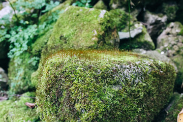 Stones bricks with moss lying outdoors. Natural textures.