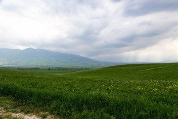 Fototapeta premium Beautiful spring and summer landscape. Lush green hills, high mountains. Bright green grass. Spring flowering grass.