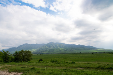 Fototapeta premium Beautiful spring and summer landscape. Lush green hills, high mountains. Bright green grass. Spring flowering grass.