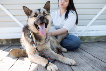 Image of young woman in jeans and white jacket sitting next to shepherd puppy against white wooden building