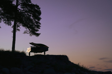 piano on the shore