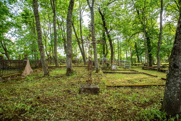 old cemetery in estonia