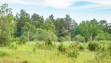 old fence in the field