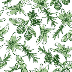 Vector seamless pattern with berries and herbs. Hand drawn illustration of cosmetics and medical plants. Great for organic product packaging, ads and banners.